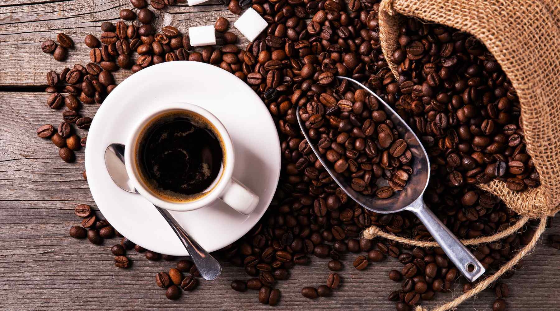 Dark Roast Vs Medium Roast Coffee - What Are The Major Differences –  Portfolio Coffee