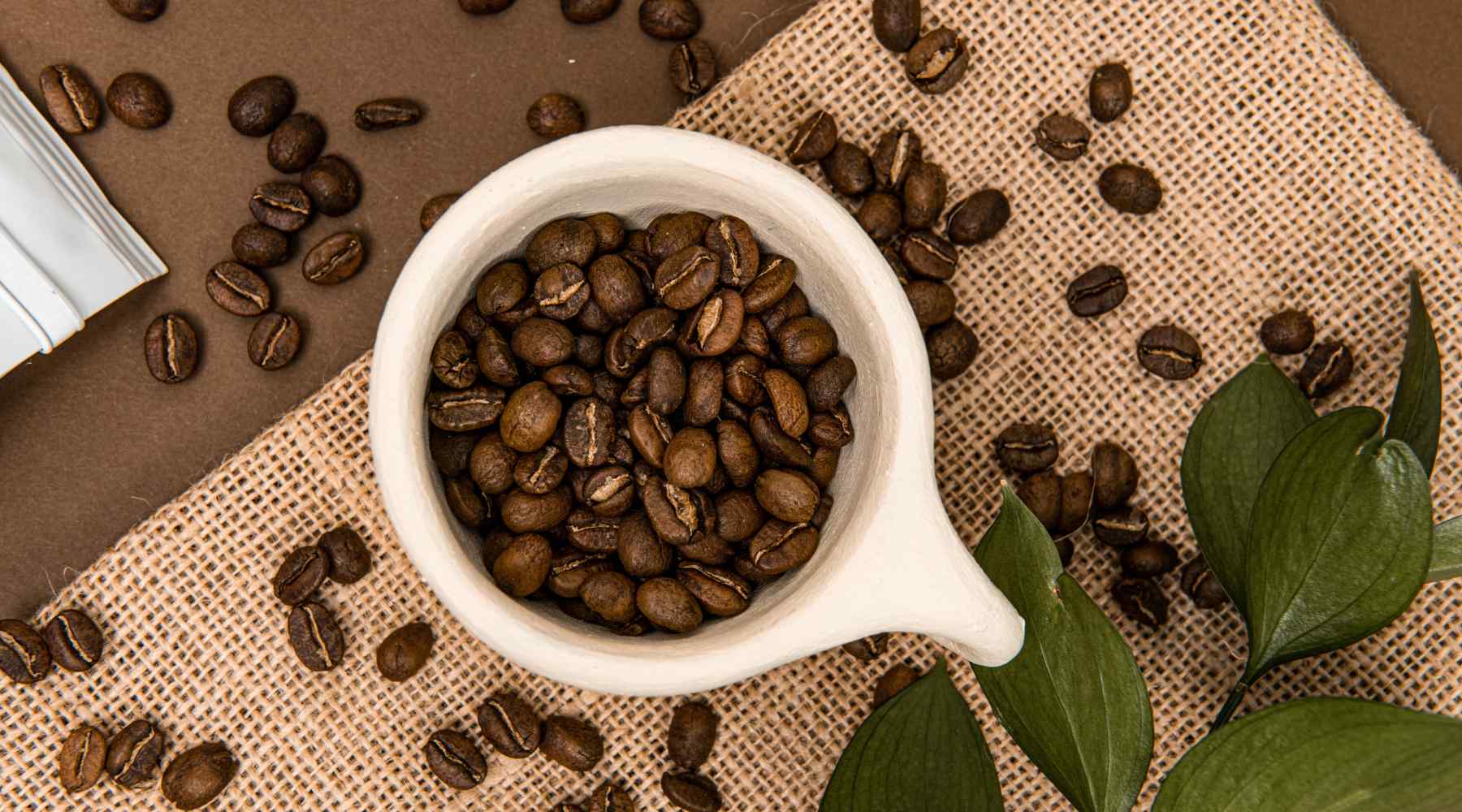 dating site coffee beans